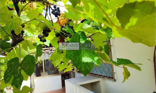 Villa singola con ampio giardino